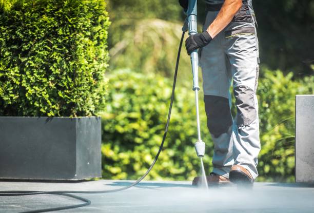 Animal Enclosure Cleaning in Oak Valley, NJ